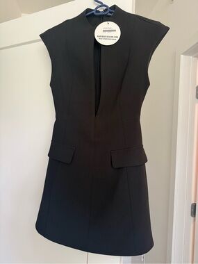 Brand-New with Tags Black Sleeveless V-Neck Mini Dress